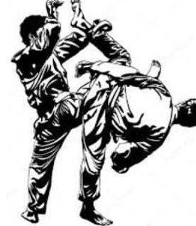Tamashi Dojo Services